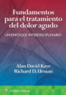 Fundamentos para el tratamiento del dolor agudo : Un enfoque interdisciplinario - Book