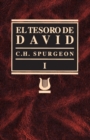Tesoro de David Volumen I - Book