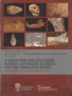 Pleistocene and Holocene Hunter-Gatherers in Iberia and the Gibraltar Strait : The current archaeological record - Book