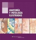 Anatomia Y Patologia Ilustradas - Book