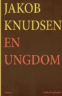 En ungdom - Book