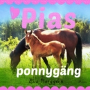 Pias ponnygang - eAudiobook