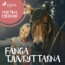 Fanga tjuvryttarna - eAudiobook