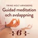 Guidad meditation och avslappning - Del 6 - eAudiobook