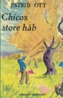 Chicos store hab - Book