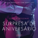 Surpresa de Aniversario - Um conto erotico - eAudiobook