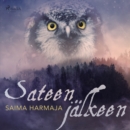 Sateen jalkeen - eAudiobook