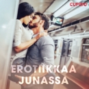 Erotiikkaa junassa - eAudiobook