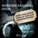 Þrir unglingar fremja siðlaus skemmdarverk : Norraen Sakamal 2006 - eAudiobook