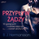 Przyplyw zadzy - 10 goracych i podniecajacych opowiadan erotycznych B. J. Hermanssona - eAudiobook