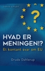 Hvad er meningen!? Et kontant svar om EU - Book