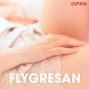 Flygresan - erotiska noveller - eAudiobook