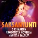 Saksantunti - 5 kiimaisen eroottista novellia Vanessa Saltilta - eAudiobook