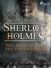 The Adventure of the Veiled Lodger - eBook
