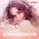 Sommarmote - erotiska noveller - eAudiobook