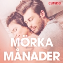 Morka manader - erotiska noveller - eAudiobook