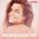 Morgonmotet - erotiska noveller - eAudiobook