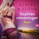 Sophies utmaningar 2: Resan - erotisk novell - eAudiobook