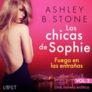 Las chicas de Sophie 3: Fuego en las entranas - Una novela erotica - eAudiobook