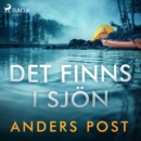 Det finns i sjon - eAudiobook