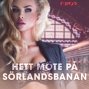 Hett mote pa Sorlandsbanan - erotiska noveller - eAudiobook
