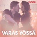 Varas yossa - eroottinen novelli - eAudiobook