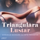 Triangulara Lustar: Sensuella noveller om heta trekanter - eAudiobook