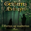 Ulfurinn og maðurinn - eAudiobook