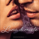 Desiderio 1: Luna di miele - racconto erotico - eAudiobook