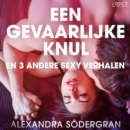 Een gevaarlijke knul en 3 andere sexy verhalen - eAudiobook