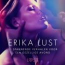 Erika Lust: 13 spannende verhalen voor een gezellige avond - eAudiobook