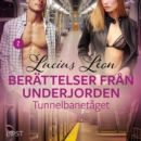 Tunnelbanetaget - Berattelser fran underjorden 2 - eAudiobook