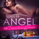 Angel 6: Taxichaufforen - erotik - eAudiobook