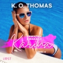 Pamiatka z wakacji 4: Karina - seria erotyczna - eAudiobook