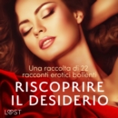 Riscoprire il desiderio: una raccolta di 22 racconti erotici bollenti - eAudiobook