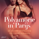 Polyamorie in Parijs en andere opwindende erotische verhalen - eAudiobook