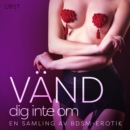 Vand dig inte om: En samling av BDSM-erotik - eAudiobook
