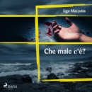 Che male c'e? - eAudiobook