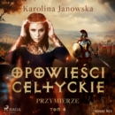 Opowiesci celtyckie. Tom 4. Przymierze - eAudiobook