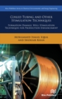 Coiled Tubing and Other Stimulation Techniques : Formation Damage, Well Stimulation Techniques for Production Enhancement - Book