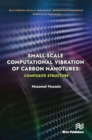 Small-scale Computational Vibration of Carbon Nanotubes: Composite Structure - Book
