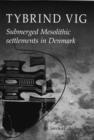 Tybrind Vig : Submerged Mesolithic Settlements in Denmark - Book