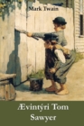 vint ri Tom Sawyer : The Adventures of Tom Sawyer, Icelandic edition - Book
