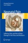 Neonatal Pain : Suffering, Pain, and Risk of Brain Damage in the Fetus and Newborn - Book