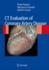 CT Evaluation of Coronary Artery Disease - eBook