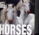 Mini Cubebook Horses - Book