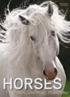 Horses: Breeds, Cultures, Traditions - Book