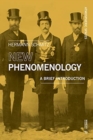 New Phenomenology : A Brief Introduction - Book