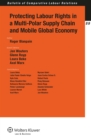 Protecting Labour Rights in a Multi-polar Supply Chain and Mobile Global Economy - eBook