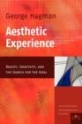 Aesthetic Experience : Beauty, Creativity, and the Search for the Ideal - Book